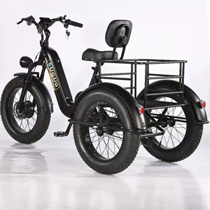 20-inch Fat Tire Snow Electric Tricycle Bicycle Lithium Battery
