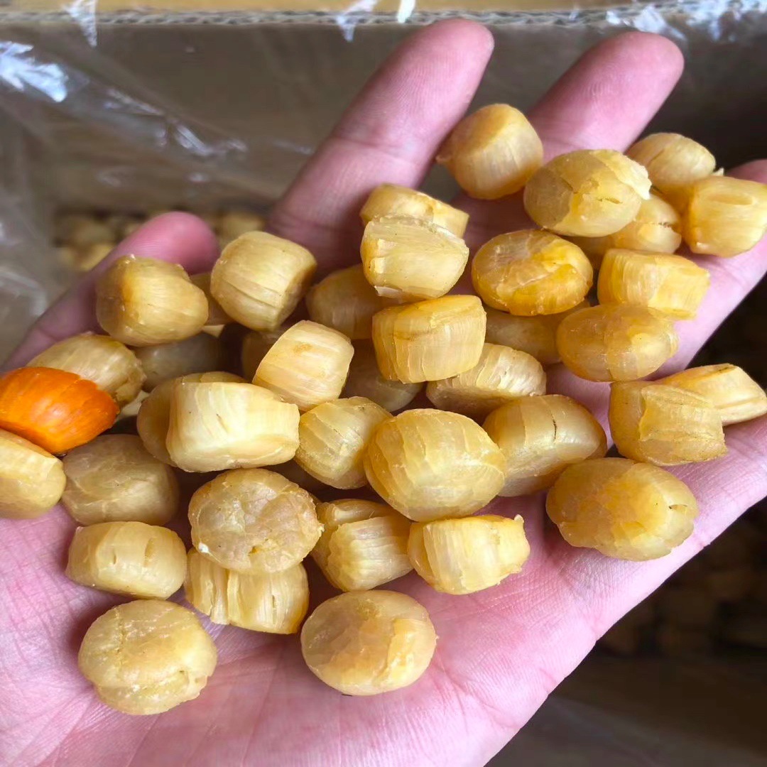 干贝瑶柱扇贝全淡足干元贝300头水产海鲜干货食用农产品批发淡干