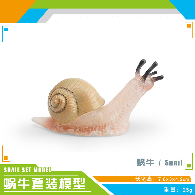 PL127-3758 Caracol 25g