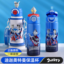 ���ȊW������ͯ���ر�316���P䓌W���׃��@�όW�����p�ˮ����