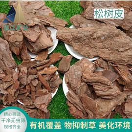 松树皮3-5公分园林绿化园艺种植多肉兰花有机覆盖物打磨喷砂