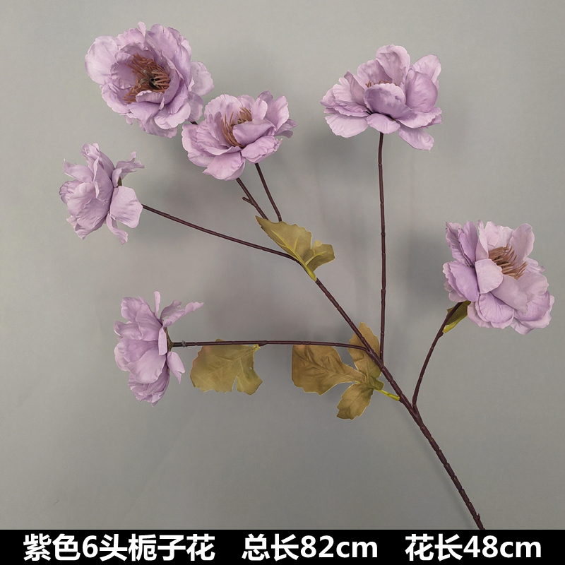 보라색 6머리 치자나무