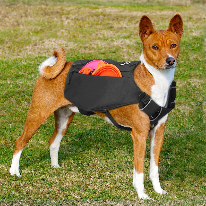 O1CN01lX0hSv1M97tsn8wuE_!!973531391-0-cib.jpg?__r__=1721371324734