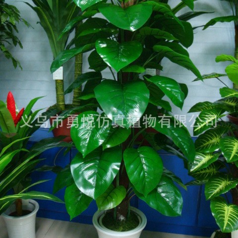 FUENTE Fábrica al por mayor de la planta de simulación árbol 63 Paquete de hojas Goteo marrón Guanyin rábano verde de hoja perenne planta verde árbol falso