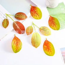 �羳���u���滨�~3Ƭ4Ƭ �y���~�����ٗl����������~�ֹ�diy���