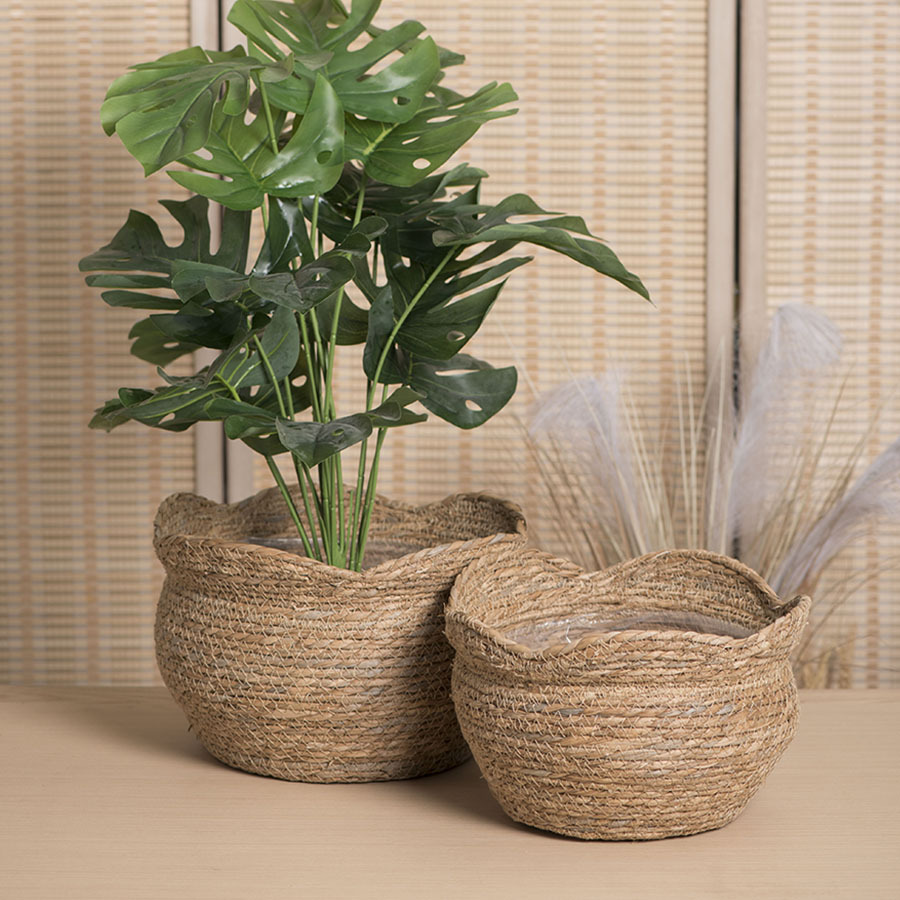 Pequeño pedazo de estilo pastoral personalizado maceta de hierba creativa nórdica verde maceta de carne para dibujar una gran cantidad de descuento personalizado