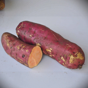 �F؛���� �S�ĵع� �S�ĵع� �����S�ĵع�