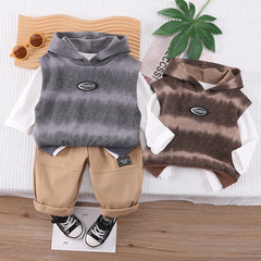 男童春秋套裝2024新款春秋季小童衣服洋氣長袖衛衣三件套童裝代發