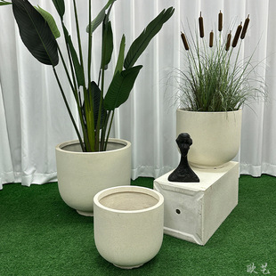 ����䓻����̨�A�λ���ͥԺ����Nֲ���Wʽ�w�S��A����һ�����l