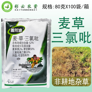 �w�ĵ�62%����η�ݸ��������������Ǹ����s�ݳ��݄��rș��Ʒ