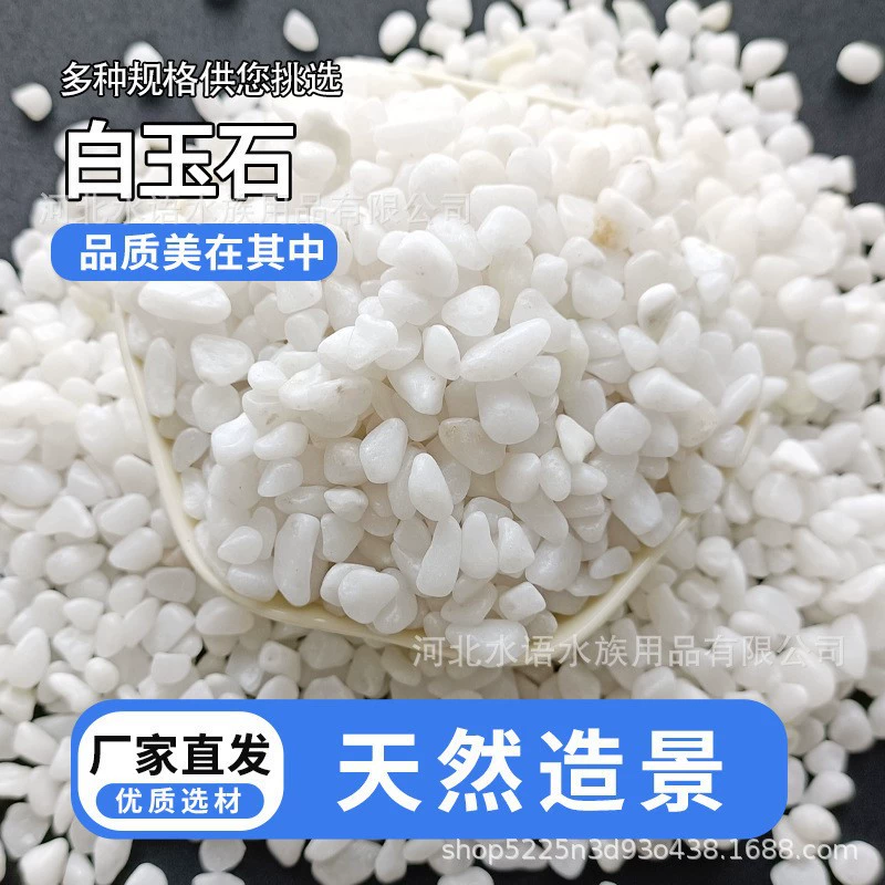 Завод оптовой мелкий белый камень, галька, мясистая, белый камень, двор, декоративный белый нефрит, белоснежный