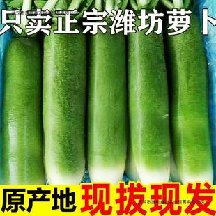 �H���}��ˮ�����ˮ���͞H�hɳ�C���}��10������������l