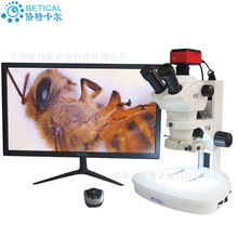 4K生物解剖镜 体视显微镜XTL-8050T-950HK型医学科研检验光学仪器