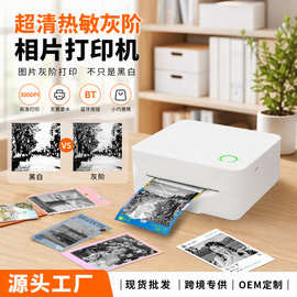Bulk discount超清无墨灰阶迷你热敏照片打印机家用标签机OEM