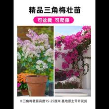 ����÷�ذ��̨���Ծ��x��������ֲ���҃����ļ��_��С���̨����