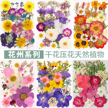 ���İ��ɻ���Ѻ��ֲͯ��˱�diy���zѺ�������N������y������