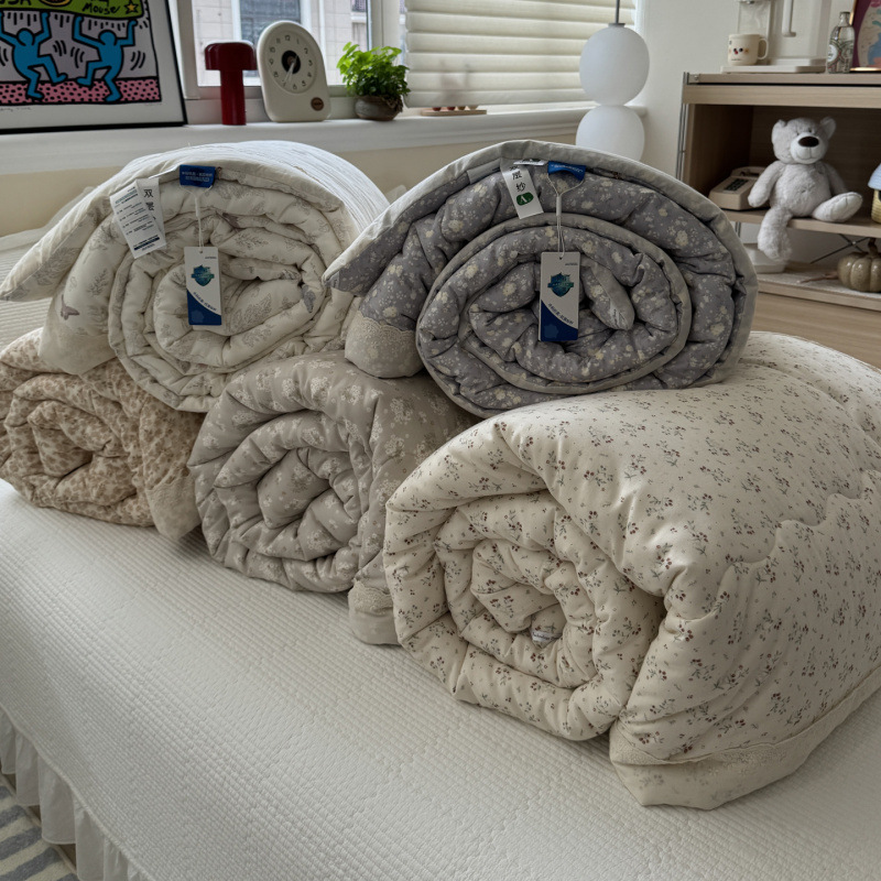 Factory Direct Supply New Pastoral Style Class a Pure Cotton Quilt Pure Cotton Double-Layer Yarn Lazy Winter Quilt Student Single Quilt Core