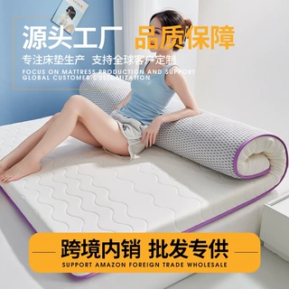 源头厂家乳胶床垫家用卧室榻榻米单人宿舍租房柔软型记忆海绵垫子