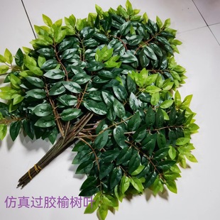 ܿܘ~Gɫֲ٘~֦~b쾰ܘ~l