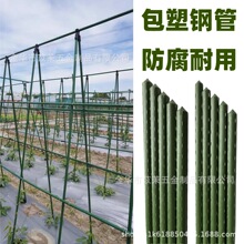����ֲ������֧���ӻ��܈@ˇ����䓹������S�ϷN��֧�ΗU����ͥԺ
