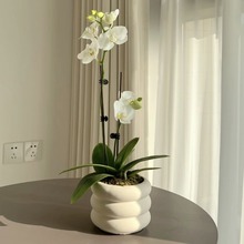 ���WĪ�m�ψAȦ�����մɺ��s�оGֲ�����[��݆̥�մɺ����m����