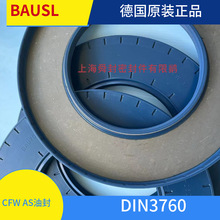 BAUSL140*250*15   CFW�ͷ�   SIMRIT   DIN3760 AS ��ԭ�b��Ʒ