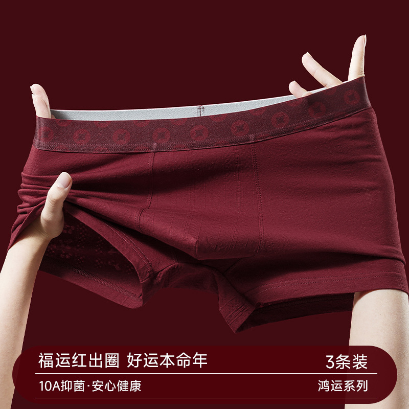 Men's Red Series Underwear Pure Cotton More Comfortable and Breathable Fashion Trendy Men's Boxer Briefs Burgundy Ancora