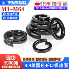 8.8����ɫ�ߏ��ȏ��|�|Ȧ�_�ډ|Ȧ���ɉ|Ƭm3m4m5m6-m56�F؛���l