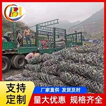 ����߅�·��o�Wɽ�w��ʯ���o�W����䓽z�K�����W��߅�¼ӹ��o�¾W