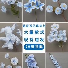 �{ɫ���滨��c·���bٻ���Y�õ�픲��û���ӆ�鱳���廨�ٻ�