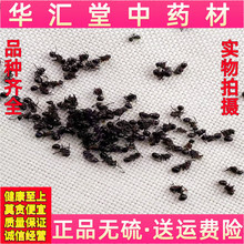 ҰΛρڶρΛρݾ 250 500˰]ĥۺ