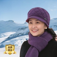 冬季时尚贝雷帽保暖防寒加绒加厚中老年人妈妈毛线针织帽子女冬天
