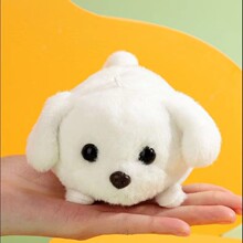 ���uβ��С�׹�ë�q����耳׿����K�l�l��߱�����ż�Y���Ʒ����