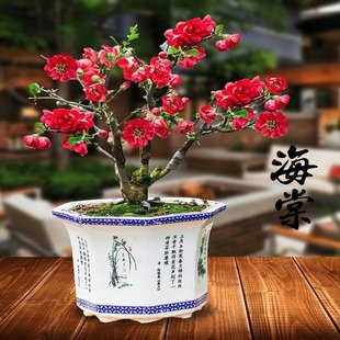 һ�����l�ذ��L�۹ں��Ļ����辰�҃����^���ļ����ܺ�������ֲ��