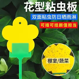 其他园林资材;防虫防蛀;苍蝇拍