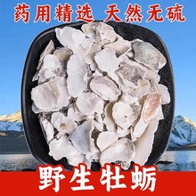 野生牡蛎500g克正品水洗牡蛎块中药材牡蛎粒蛎壳粉蛎蛤蛎煅牡蛎粉