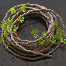 ���ٹܹ��̾��^����ٗl������֦�ɼ�ֲ���ִ�����ȼ