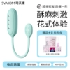 Electric vibrator + goddess gift package