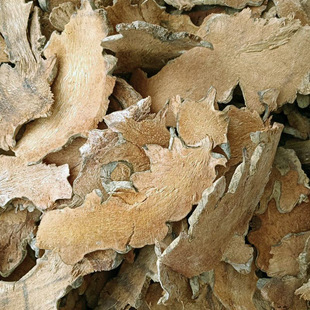 ���l�䱳����ș�İ������������ֽ������F����R���ս�t����