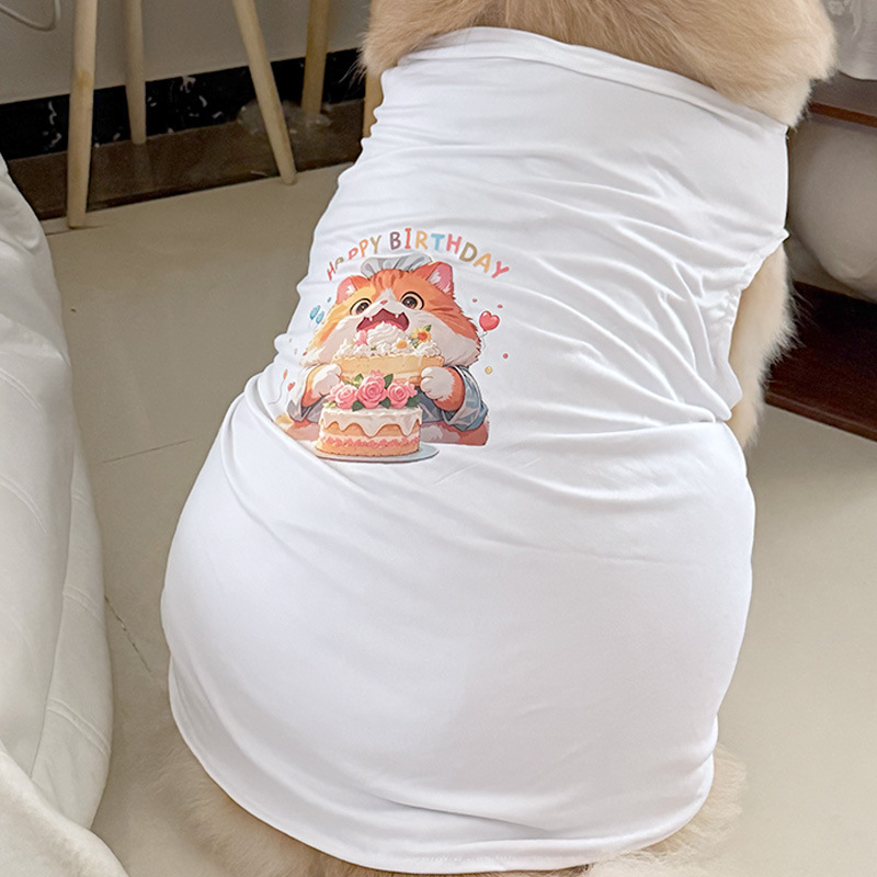 흰색 조끼 생일 시리즈 작은 주황색 고양이