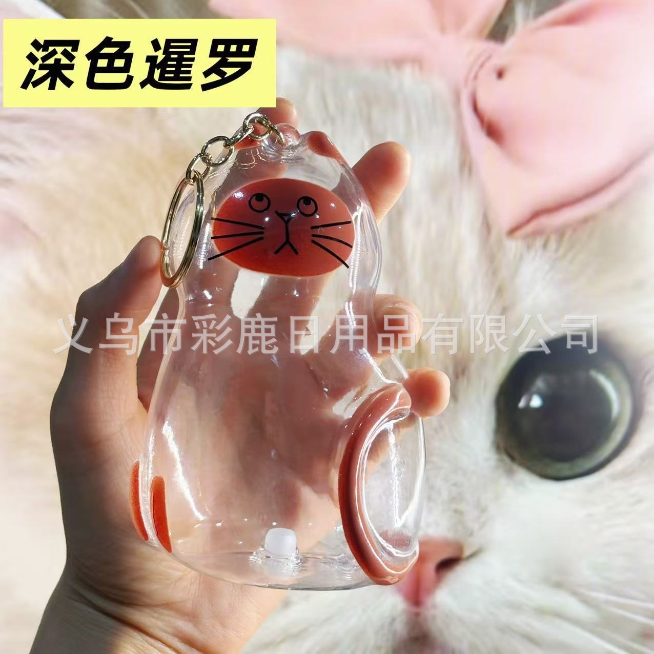 대형 시암 고양이 1마리
