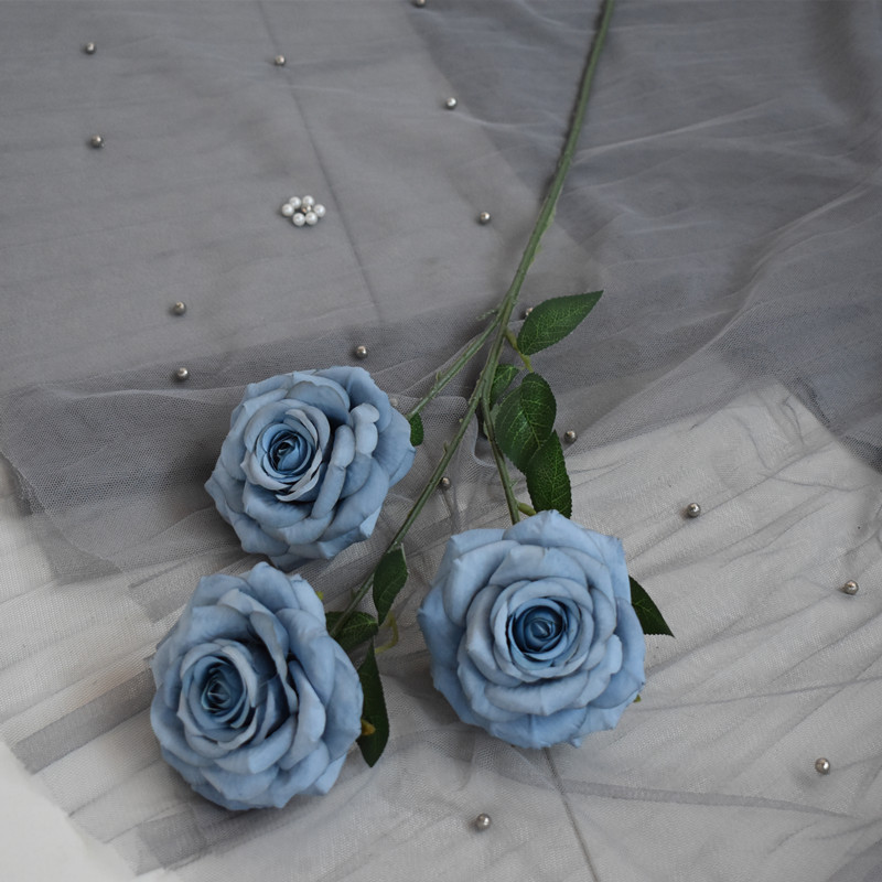 3头钻石玫瑰雾霾兰