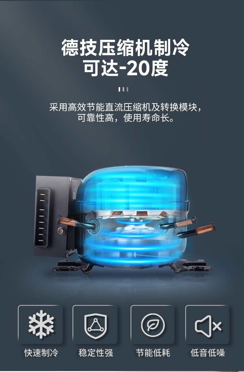 Binghu Compressor Car Refrigerator 12v 24v Portable CR65