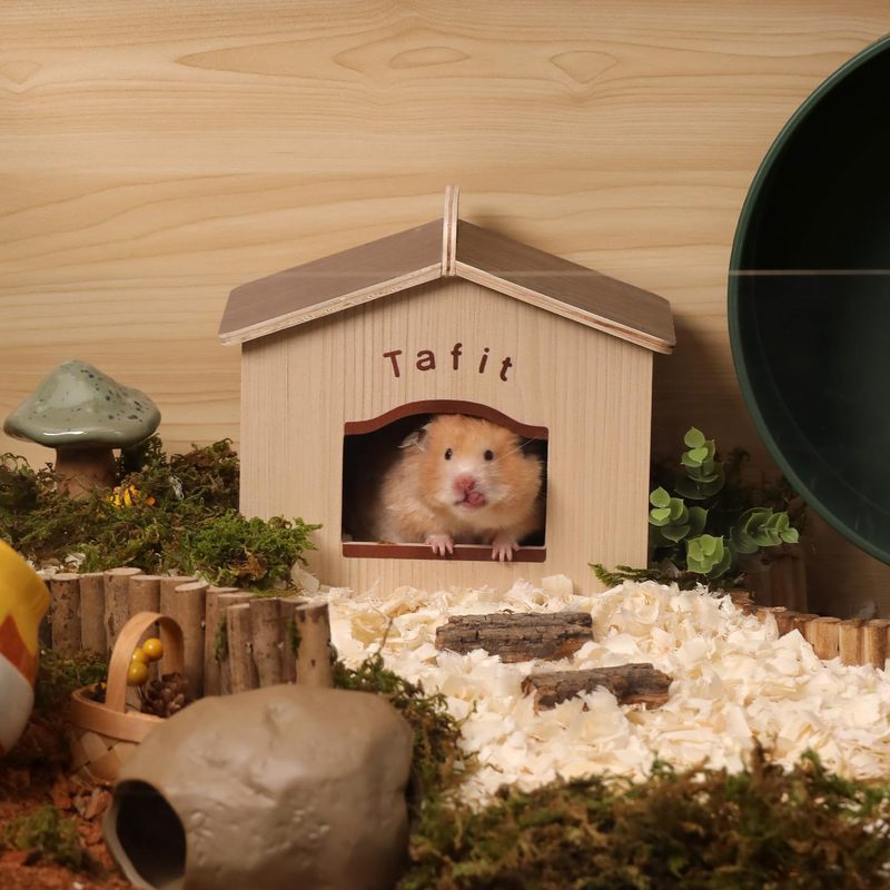木製小型ペット生息地ハムスター隠れ家小動物生息地小屋取り外し可能ハムスターハウス|undefined