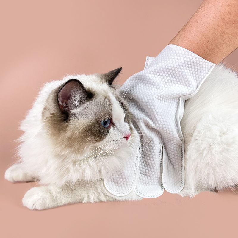 现货一次性无纺布手套猫狗通用宠物干湿两用清洁手套|undefined