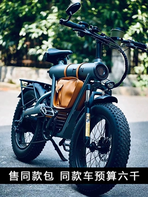 Zhou Shushu FTN electric bike mid-mounted battery seat bag retro modification accessory new waterproof and sun-proof model