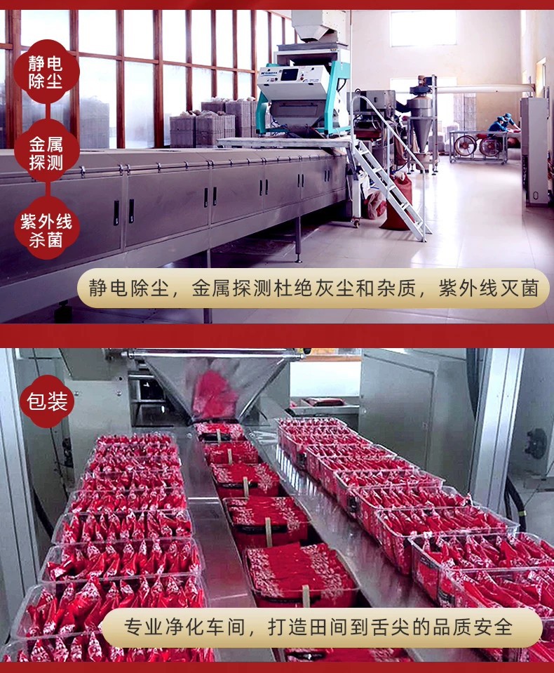 Dried Goji Berries 250g Ningxia Wolfberry Ready to Eat Individual Sachets Premium Grade in use