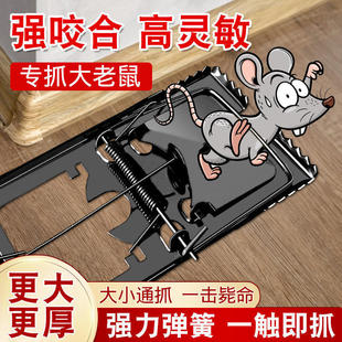 ����A�������؊A�ӏ��������B�m��׽�����F�|̤����A���`��