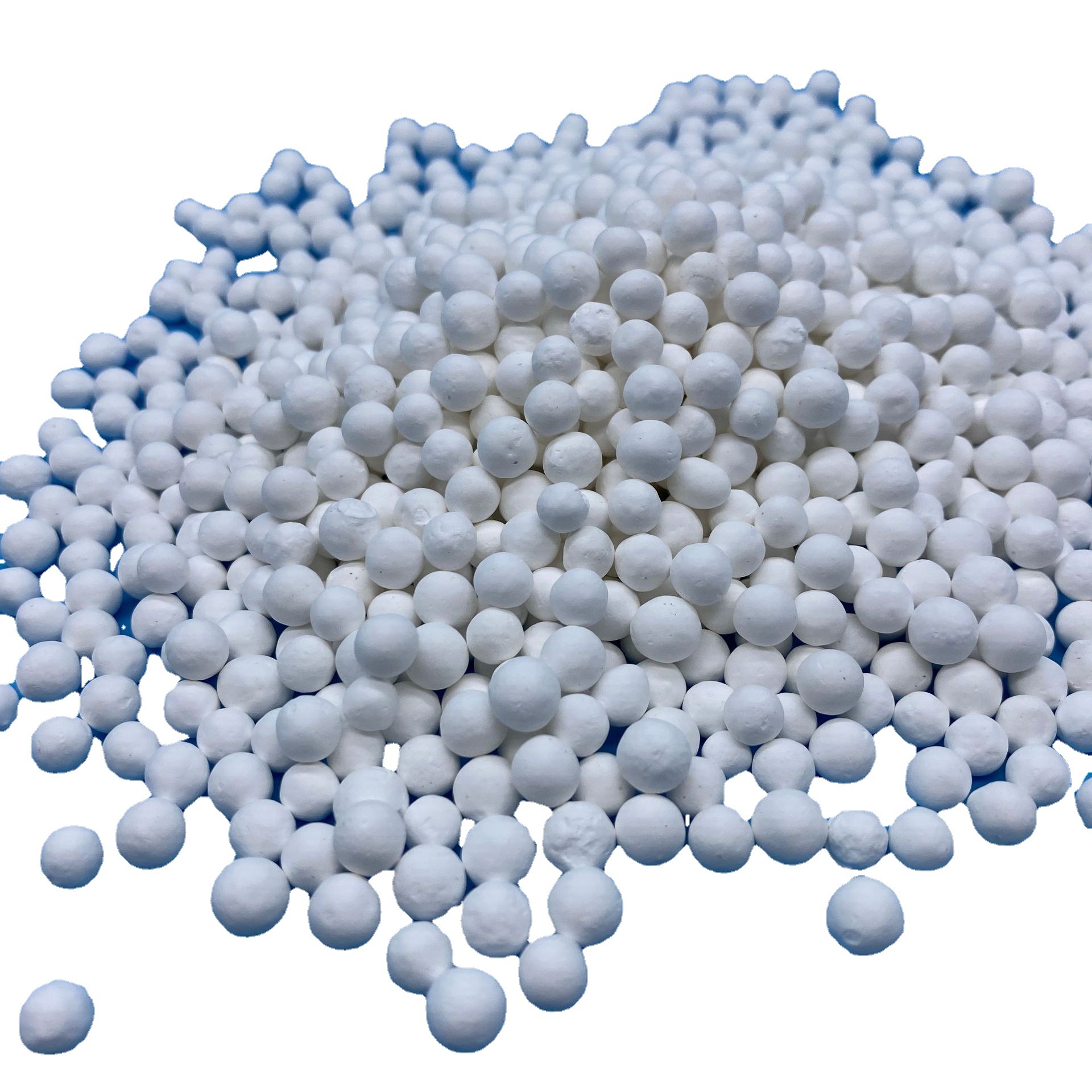 ��������������������� ������������������� ���ʳ�����������