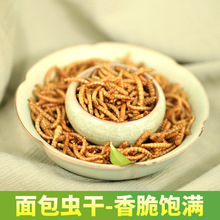 面包虫干黄粉虫干仓鼠粮食龙猫零食刺猬鱼鸟饲料龟粮鸟食宠物500g